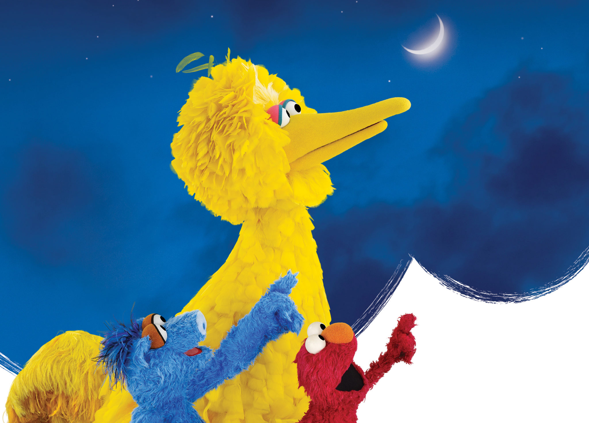 One World, One Sky: Big Bird’s Adventure | Hudson River Museum