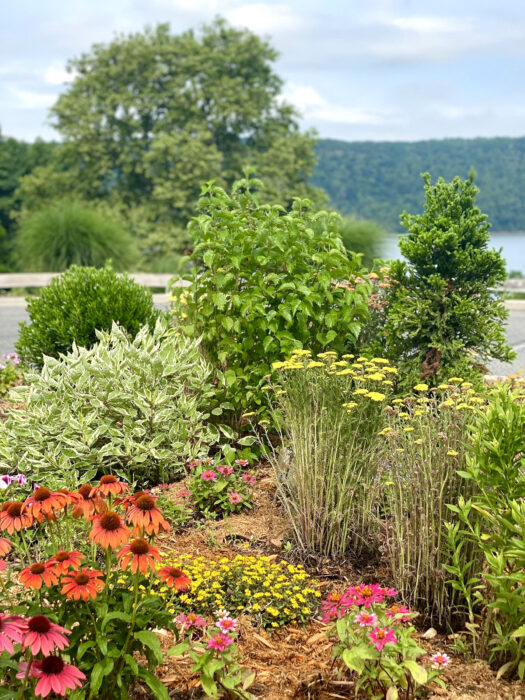 Currents | Hudson River Museum